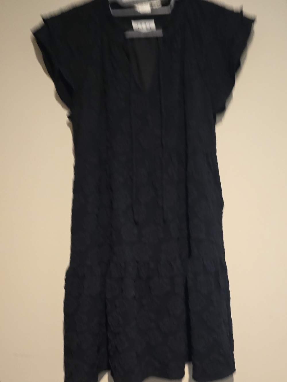 Black Ruffle Sleeve Dress
